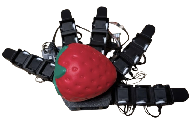 Anthropomorphic baseline hand holding strawberry
